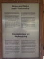 Fohlenweide 04.JPG