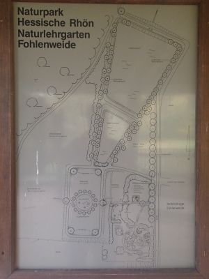 Fohlenweide 05.JPG