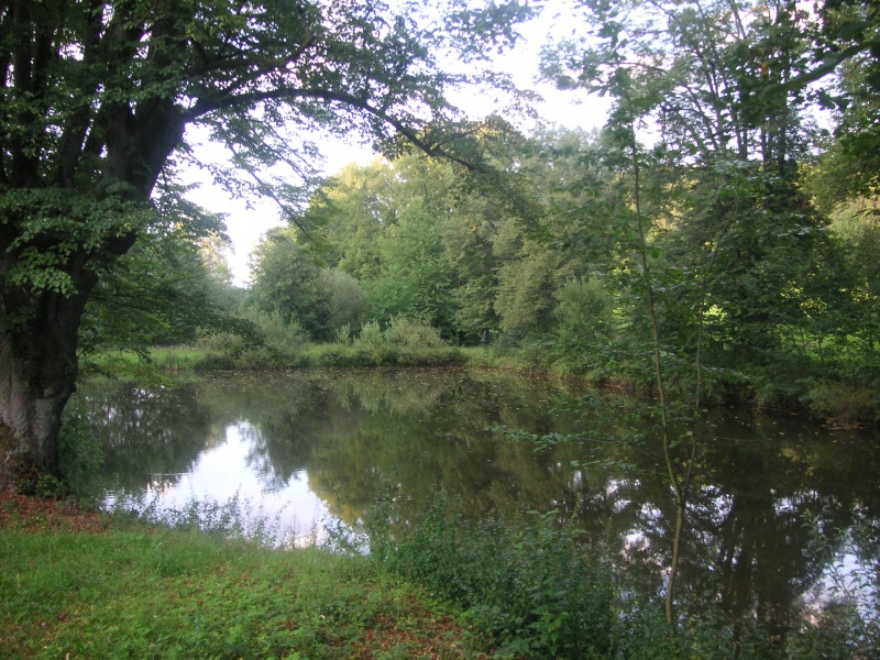 Datei:Fohlenweide 20.JPG