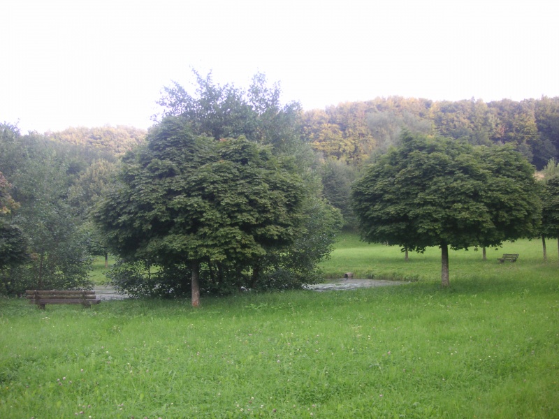 Datei:Fohlenweide 21.JPG