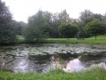 Fohlenweide 24.JPG