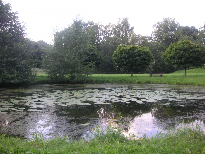 Datei:Fohlenweide 24.JPG