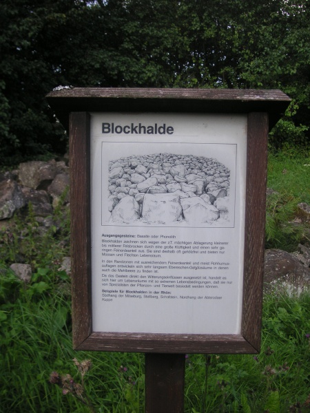 Datei:Fohlenweide 27.JPG