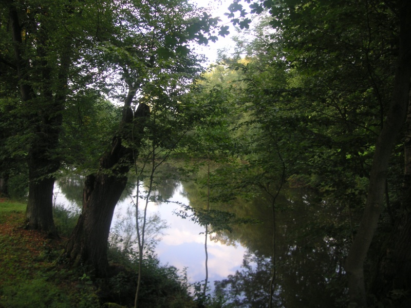 Datei:Fohlenweide 18.JPG